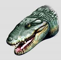 <i>Globidentosuchus brachyrostris</i>