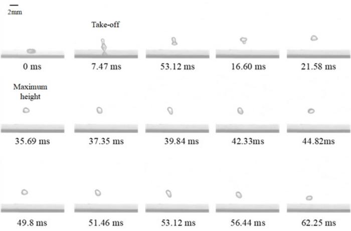 Figure 2 High-resolution reconstructed sequence of Leidenfrost droplet dynamics