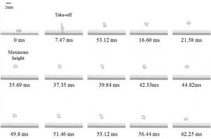 Figure 2 High-resolution reconstructed sequence of Leidenfrost droplet dynamics