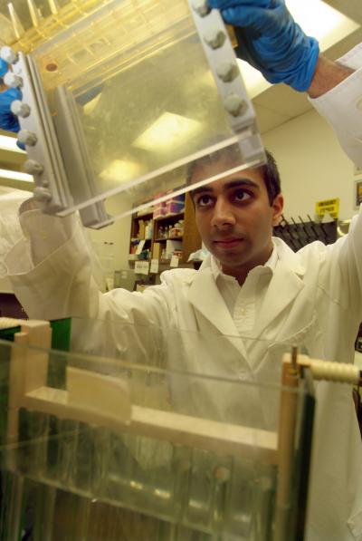 Blue Light Ssed to Harden Tooth Fillings Stunts Tumor Growth