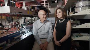 The paper’s co-authors, Alexander Gaeta (left) and Michal Lipson, pictured in the Gaeta lab at Columbia University