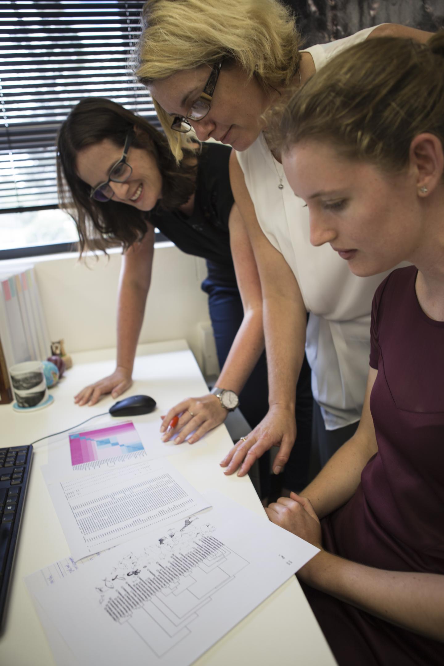 The Research Team