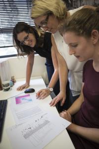 The Research Team