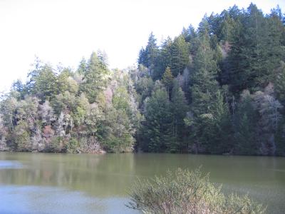 Mt. Tam SOD