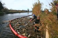 Microplastics