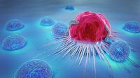 Velcro on cancer cells