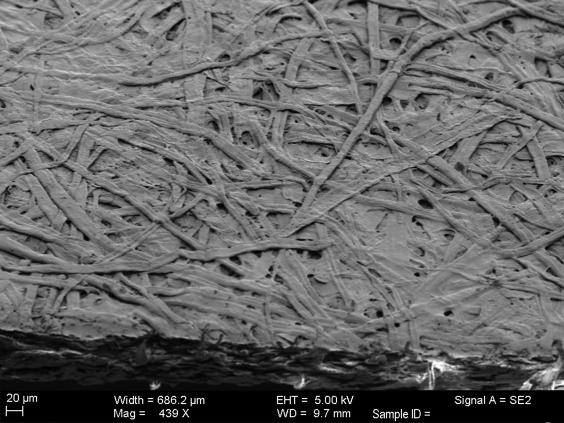 SEM Image of Gold/Germanium-Coated Paper