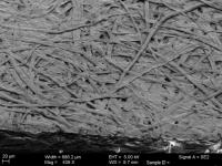 SEM Image of Gold/Germanium-Coated Paper