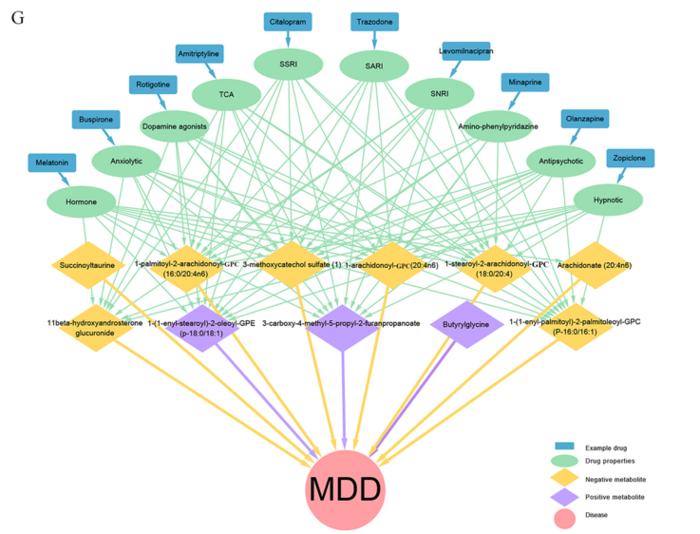 Druggable metabolites causally linked to major depressive disorder