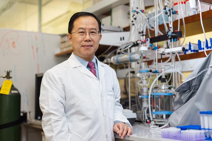 Dr. Baowei Fei