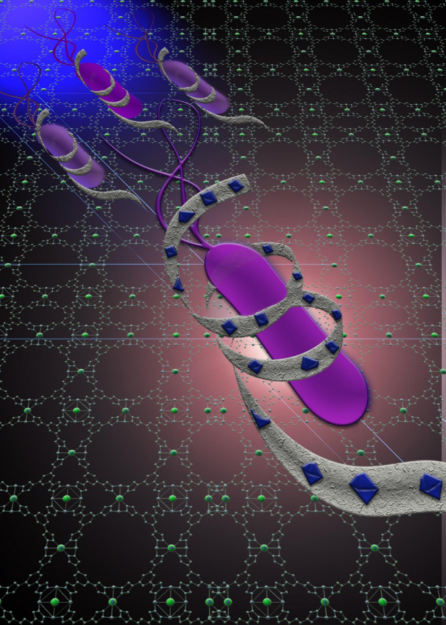 Illustration of Biofilm Reduction