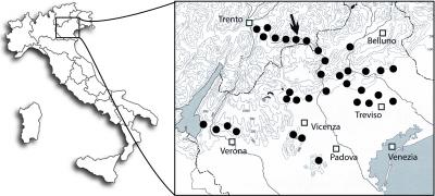 Distribution Map