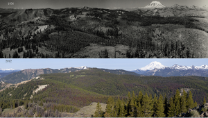 Historical comparison