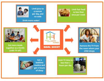 Healthy Habits, Happy Homes Goals