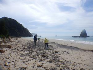 Fieldwork in Nago