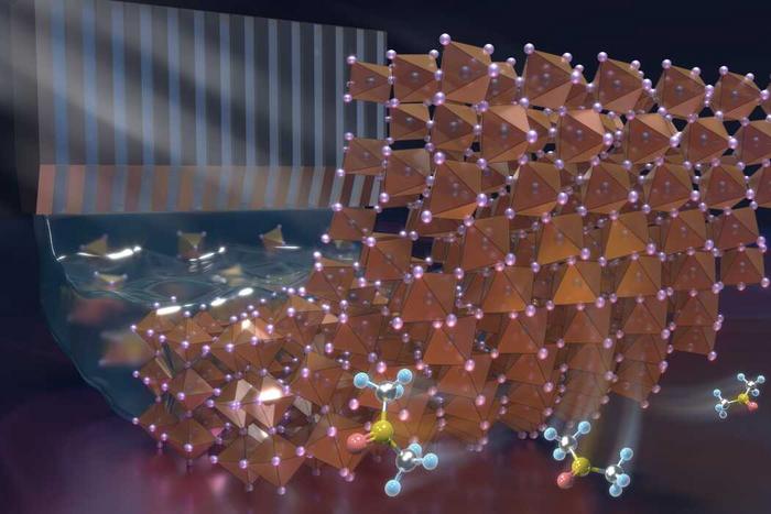 The mechanism of action of solvate crystal seeds at the buried interface