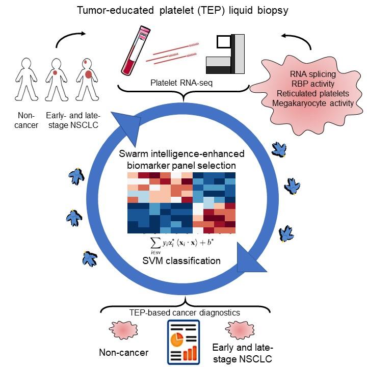 Blood-based Biopsy Screens Platelets
