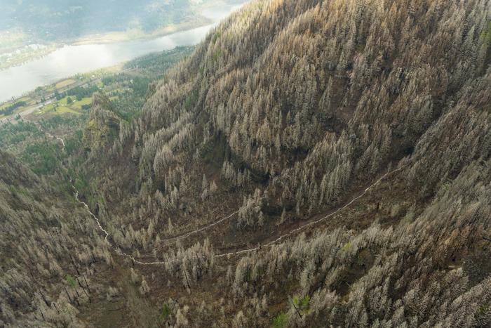 Looking down the Leavens Creek watershed