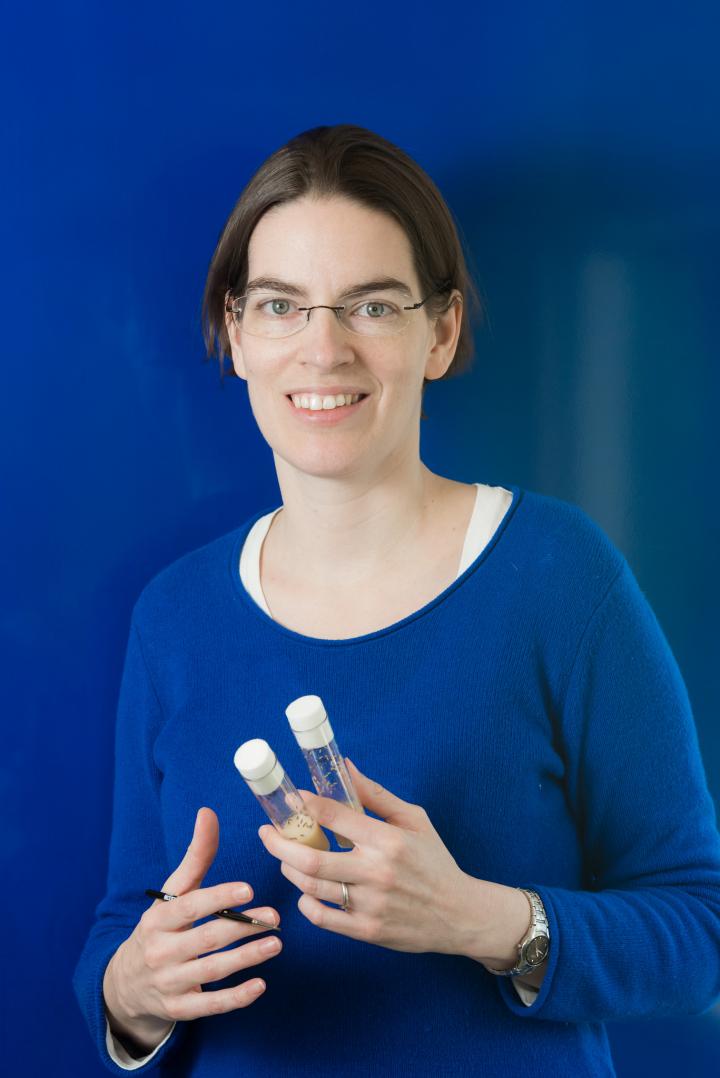 Vicki P. Losick, Ph.D, Mount Desert Island Biological Laboratory