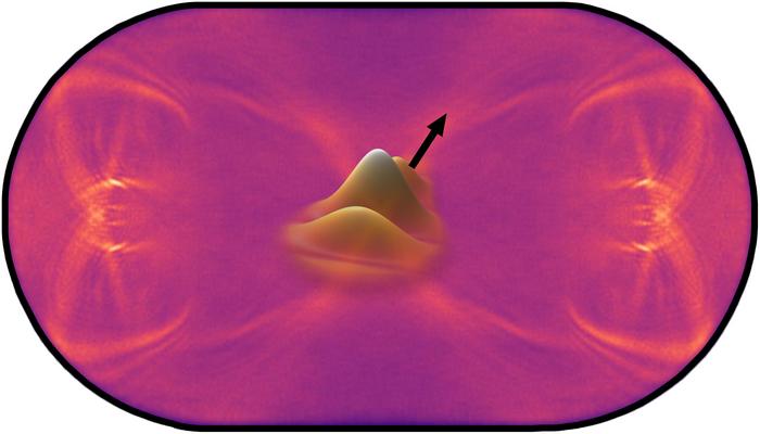 Quantum birthmark