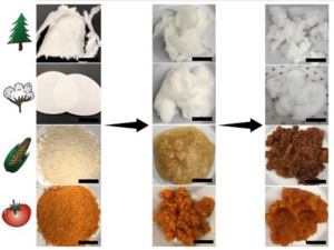 Illustration of bio-based materials used to salvage rare earth elements