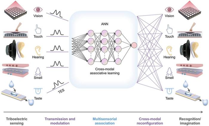 Bioinspired triboelectric-driven multisensory framework for cross-modal ...