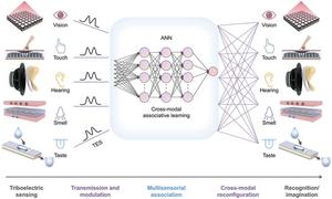 Bioinspired triboelectric-driven multisensory framework for cross-modal associative learning.