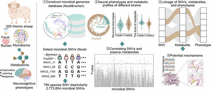 Gut microbial genetic variants modulate host exploratory behavior via metabolic changes