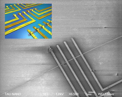Carbon Nanotube Circuits
