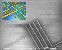 Carbon Nanotube Circuits