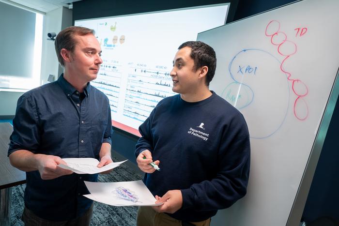 St. Jude scientists uncovered Exportin-1 (EXPO1)’s role in UBTF-TD AML, revealing a new therapeutic target for high-risk pediatric leukemia