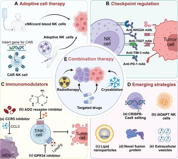 Five core approaches to NK cell-mediated tumor immunotherapy.
