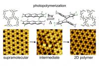 Reaction Path