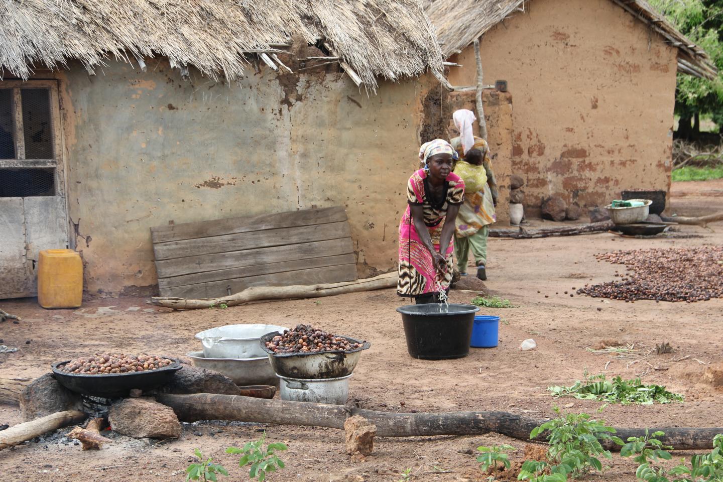 Shea Nut Processing