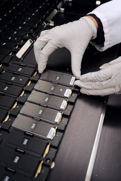 An Array of Potential Antibiotics