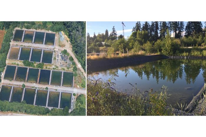 Experimental ponds