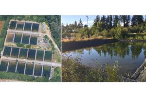 Experimental ponds