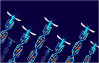 Defining gene drive