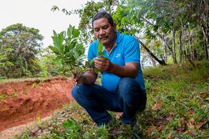 STRI botanist and taxonomy expert Jorge Aranda