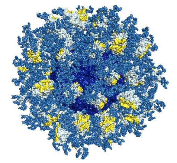 HIV