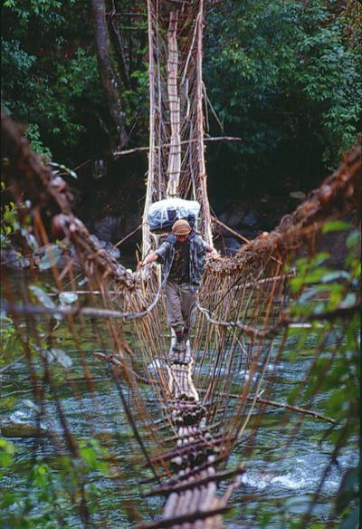 NYBG Myanmar Program (2 of 3)