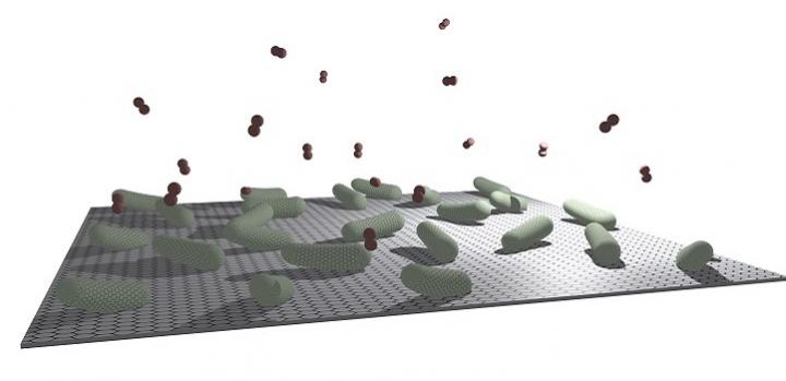 Microbes and Materials Model