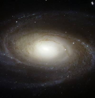 Galaxy M81