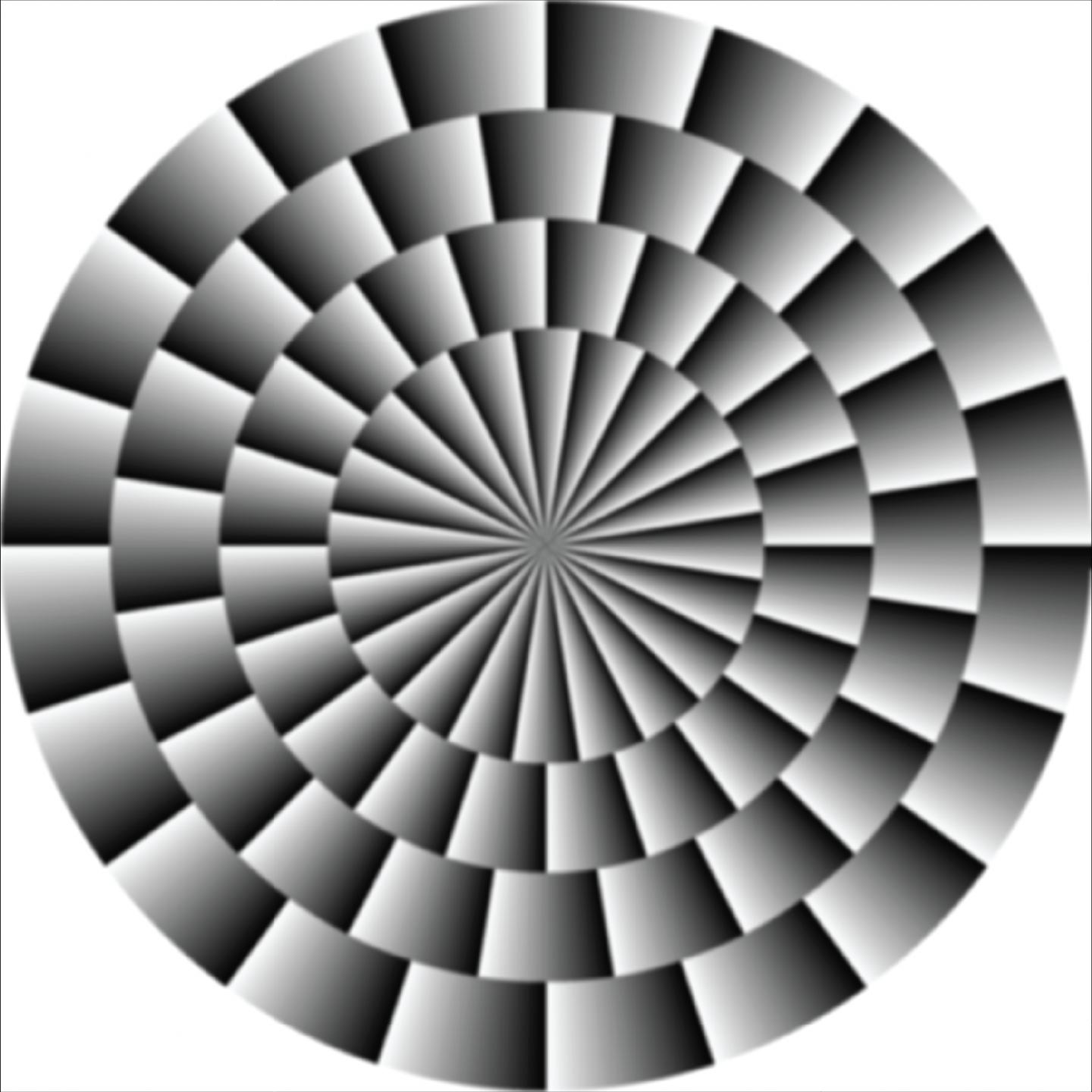 Fraser-Wilcox Illusion