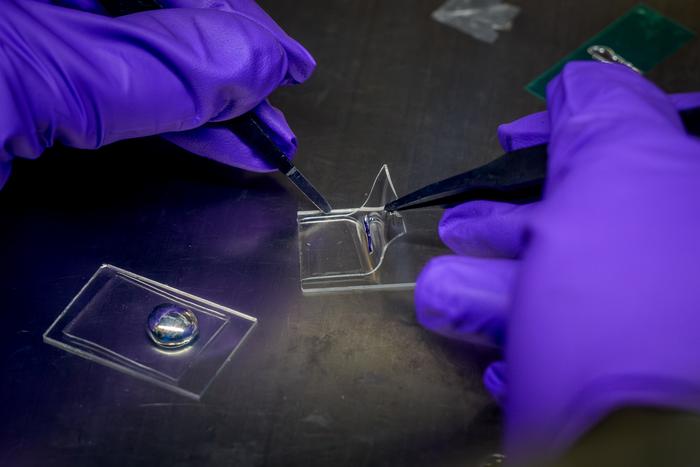 Innovative materials boost stretchable digital displays’ performance