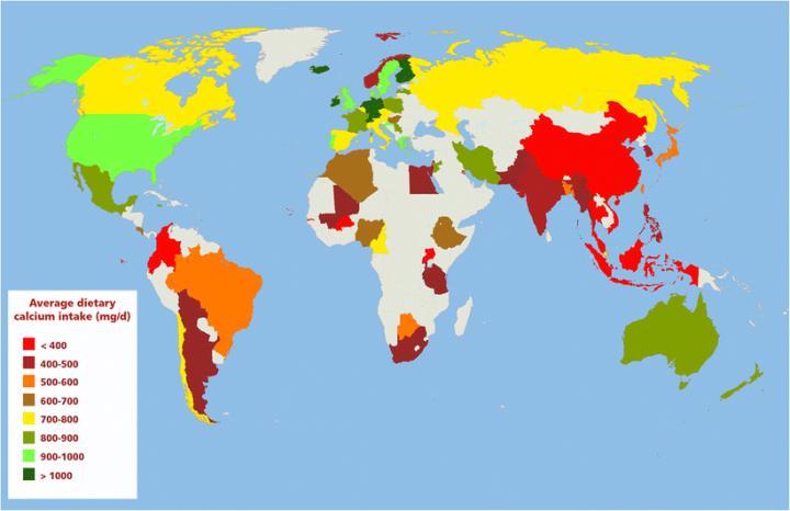 Global Calcium Consumption