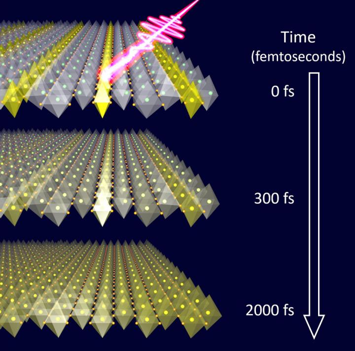 Laser and LSNO