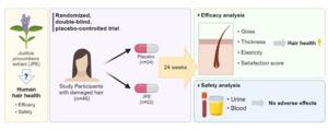 Effects of the Justicia procumbens extract (JPE) on adults with mild-to-moderate hair damage: A randomized double-blind placebo-controlled trial.