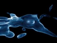First Black Holes Born Starving (2 of 2)