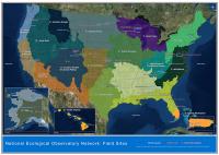 Neon Regions